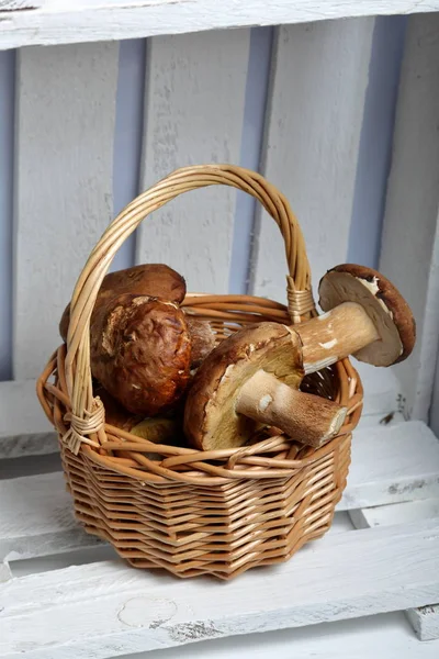 Wicker basket with porcini mushrooms. It stands in a wooden box of white painted boards.