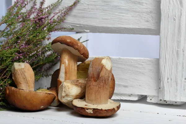 Alcuni funghi porcini freschi su uno sfondo di tavole bianche. Sullo sfondo c'è un mazzo di erica fiorita e una scatola di tavole dipinte di bianco . — Foto Stock