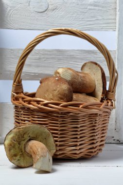 Porcini mantarlı hasır sepet. Yakınlarda bir mantar var. Bir kutu panoların yanında.