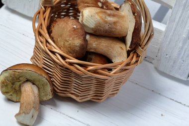 Porcini mantarlı hasır sepet. Yakınlarda bir mantar var. Bir kutu panoların yanında.