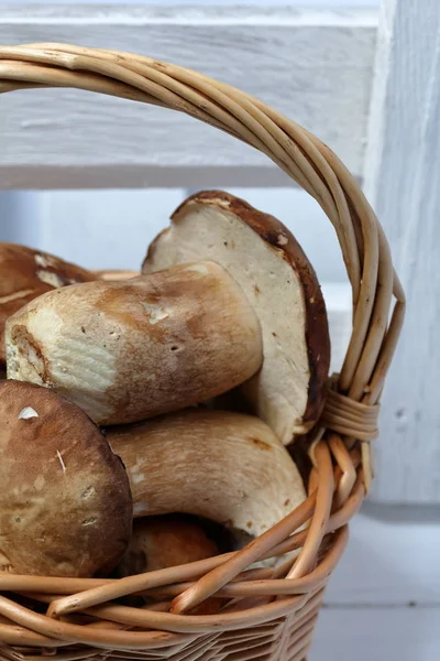 Panier en osier aux cèpes. Gros plan . — Photo