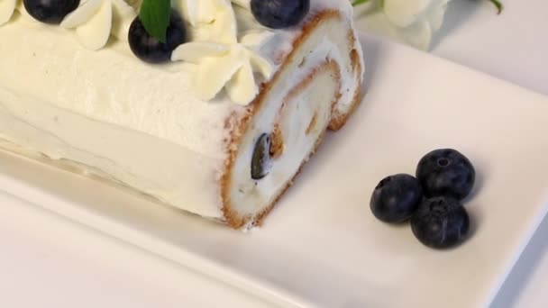 Sponge Cake Coated Cream Garnished Dried Blueberries Fresh Mint Leaves — Stock Video