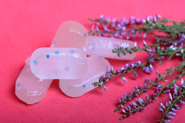 Dulces de menta para refrescar el aliento. Con microgránulos refrescantes. Mentol refrigerante para el dolor de garganta. Cerca de las ramas del brezo. Sobre un fondo de coral . — Foto de Stock