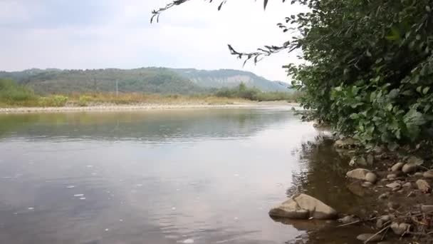 山河的水流 它在山谷中平静地流动 地平线上是森林的山脉 — 图库视频影像