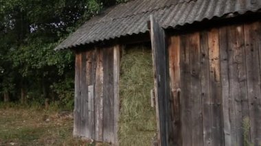 Saman dolu eski ahşap baraka. Ormanın arasında bir çayırda duruyor.