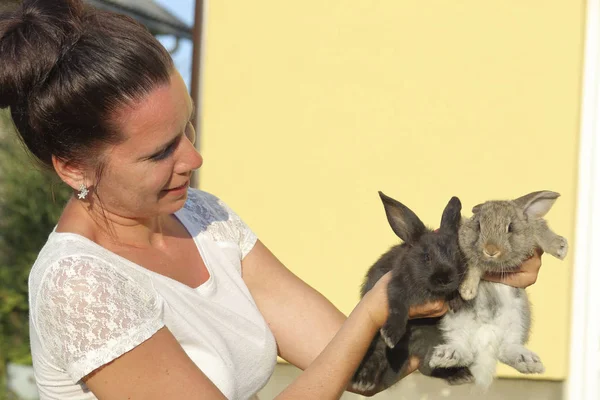 Una mujer tiene un conejo en sus manos. Se encuentra en el patio de un patio privado . —  Fotos de Stock