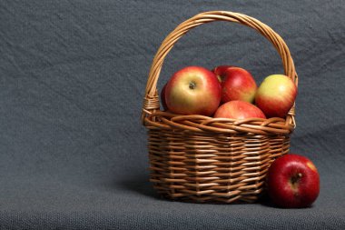 Olgun sulu elma ile Hasır sepet. Yakınlarda birkaç elma var. Yeni mahsul. Gri arka planda.