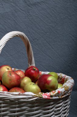 Olgun sulu elma ile büyük bir hasır sepet. Yeni mahsul. Gri arka planda. 