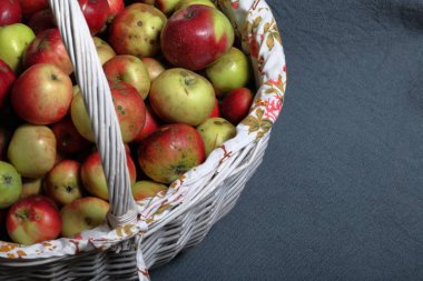 Olgun sulu elma ile büyük bir hasır sepet. Yeni mahsul. Gri bir arka plan üzerinde. Yukarıdan görüntüle.