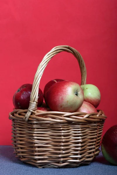 Weidenkorb mit reifen saftigen Äpfeln. In der Nähe liegen ein paar Äpfel. Neue Ernte. auf einem Korallenhintergrund. — Stockfoto