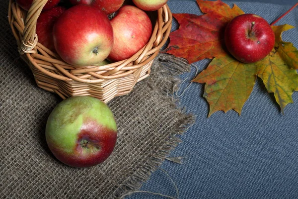 A large wicker basket with ripe juicy apples. New crop. Autumn maple leaf. On a gray background. View from above. — Stock Photo, Image