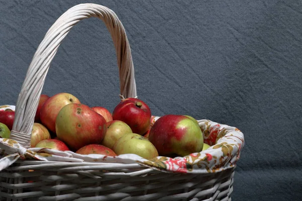 Einen großen Weidenkorb mit reifen, saftigen Äpfeln. Neue Ernte. auf grauem Hintergrund. — Stockfoto
