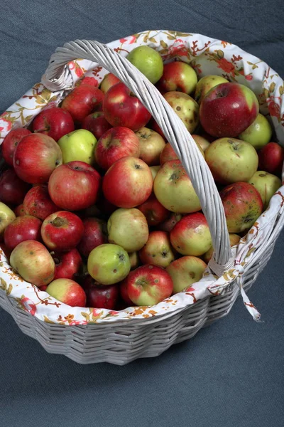 Einen großen Weidenkorb mit reifen, saftigen Äpfeln. Neue Ernte. auf grauem Hintergrund. Blick von oben. — Stockfoto