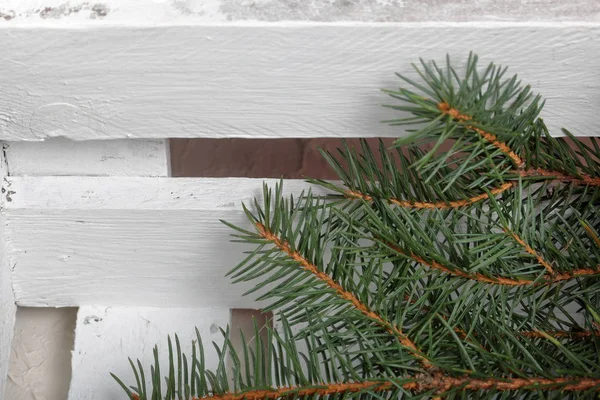 A branch of blue spruce on the background of wooden boards painted white. Winter holidays in green and white. — Stock Photo, Image