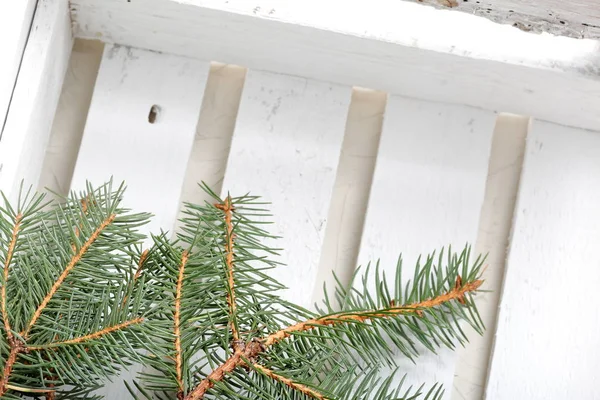 Ein Zweig Blaufichte auf dem Hintergrund von weiß lackierten Holzbrettern. Winterurlaub in Grün-Weiß. — Stockfoto