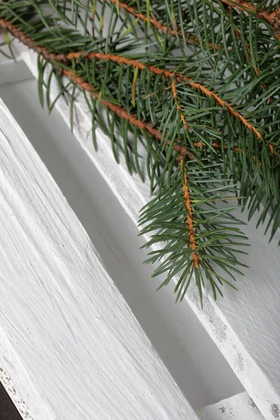 Ein Zweig Blaufichte auf dem Hintergrund von weiß lackierten Holzbrettern. Winterurlaub in Grün-Weiß. — Stockfoto