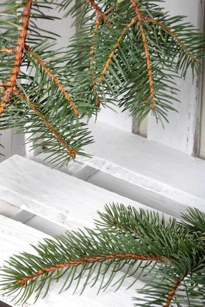 A branch of blue spruce on the background of wooden boards painted white. Winter holidays in green and white. — Stock Photo, Image