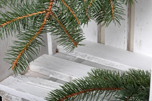 Gałąź błękitnego świerka na tle drewnianych desek pomalowanych na biało. Ferie zimowe w kolorze zielonym i białym. — Zdjęcie stockowe