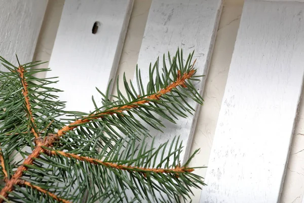 A branch of blue spruce on the background of wooden boards painted white. Winter holidays in green and white. — Stock Photo, Image