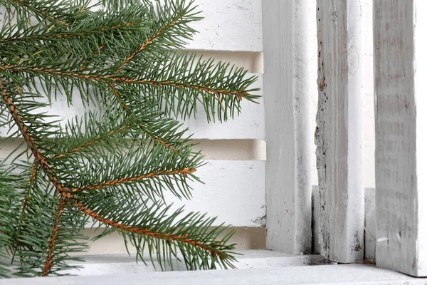 Ein Zweig Blaufichte auf dem Hintergrund von weiß lackierten Holzbrettern. Winterurlaub in Grün-Weiß. — Stockfoto