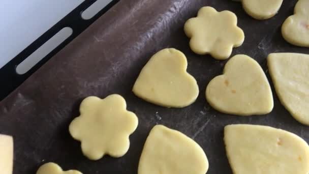 Rohlinge Für Plätzchen Liegen Auf Einem Backblech Neben Einem Nudelholz — Stockvideo