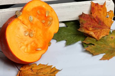Yarım portakal kabağı beyaz bir yüzeye uzanıyor. Yakınlarda beyaz boyalı ahşap bir kutu var. Renkli sonbahar yapraklarıyla süslenmiş..