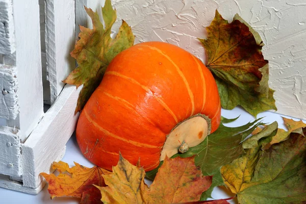 La moitié d'une citrouille orange repose sur une surface blanche. A proximité se trouve une boîte de planches en bois peintes en blanc. Décoré avec des feuilles d'automne colorées . — Photo