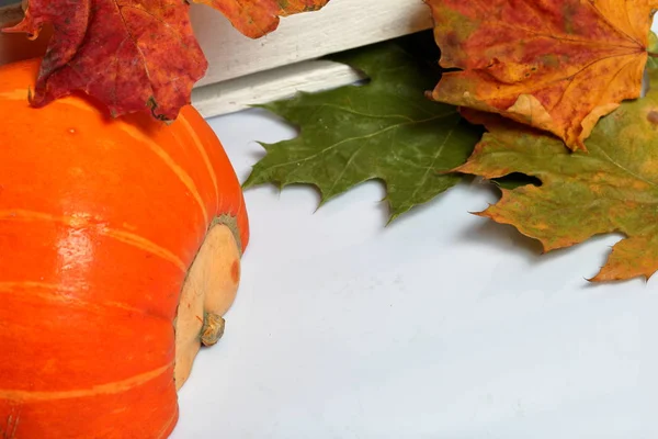 La moitié d'une citrouille orange repose sur une surface blanche. A proximité se trouve une boîte de planches en bois peintes en blanc. Décoré avec des feuilles d'automne colorées . — Photo