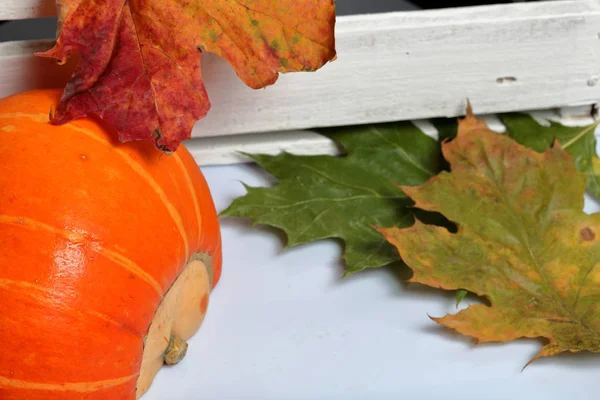La moitié d'une citrouille orange repose sur une surface blanche. A proximité se trouve une boîte de planches en bois peintes en blanc. Décoré avec des feuilles d'automne colorées . — Photo