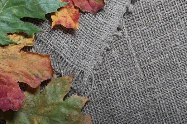Kolorowe jesienne liście na tle szorstkiej tkaniny lnianej. — Zdjęcie stockowe
