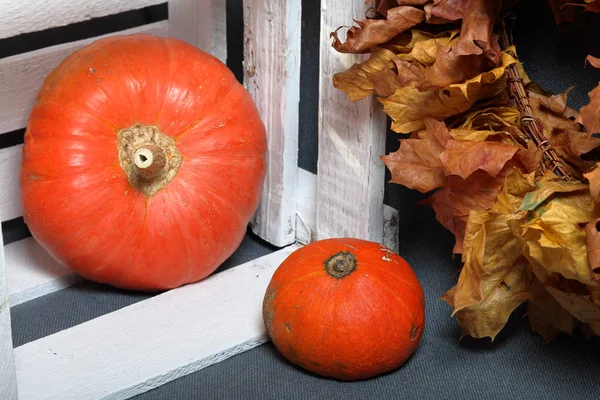 Orangenreifer Kürbis in einer Holzkiste. in der Nähe getrocknete Herbstblätter. — Stockfoto