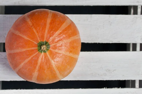 Citrouilles orange mûres. Ils reposent sur différentes surfaces . — Photo