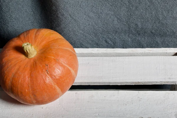 Rijp sinaasappelpompoenen. Ze liggen op verschillende oppervlakken. — Stockfoto