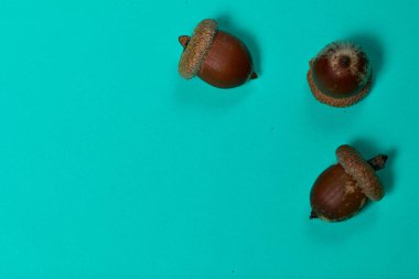 Birkaç meşe palamudu nane rengi bir yüzeyde bulunur..