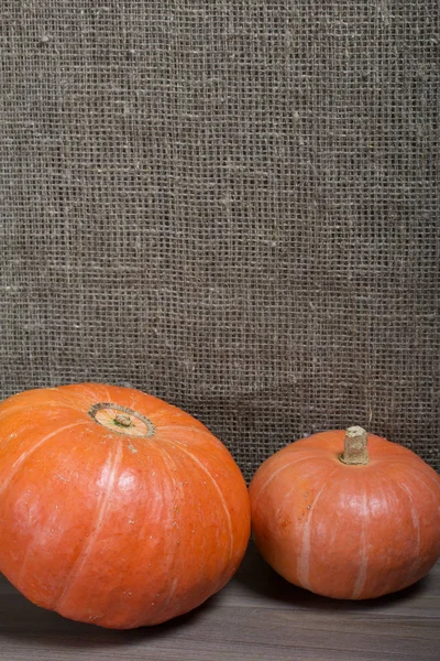 Herfst stilleven. Twee oranje pompoenen op een achtergrond van ruw linnen. — Stockfoto