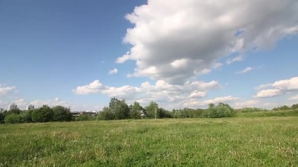 Rét zöld fűvel. Kék ég felhőkkel. Nyári táj napos időben. A kamera függőlegesen, alulról felfelé lő.. — Stock videók