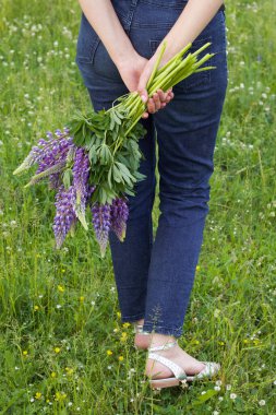 Yazlık sandaletli kadın bacakları ve arkasında bir buket lupin. Yakın çekim..
