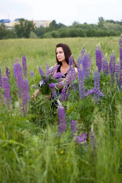 Mädchen Auf Einer Wiese Unter Den Blühenden Lupinen Mit Einem — Stockfoto