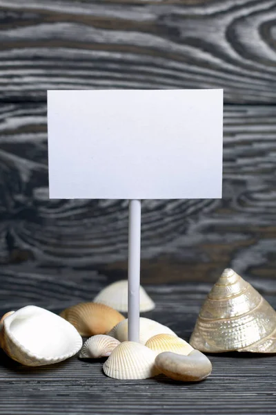 Seashells are scattered on pine boards painted in black and white. Among them is a pointer with a field for an inscription.