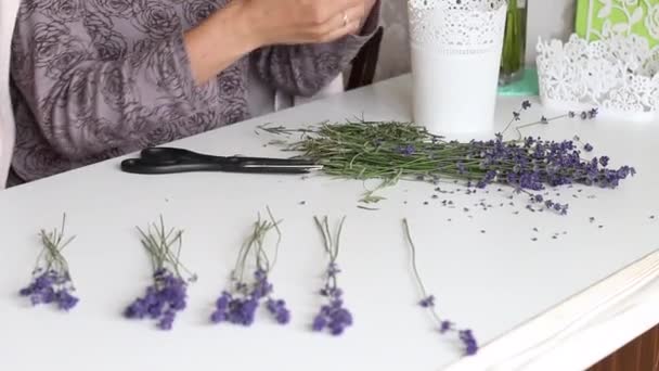 Een vrouw sorteert lavendelbloemen aan de lengte van de steel. Verzamelt ze in boeketten van verschillende grootte. Boeketten zijn op een rij. — Stockvideo