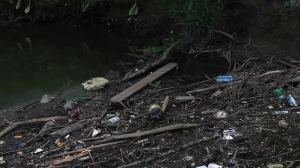 Wateren van een vuile rivier in een stadspark. Onzin en weggegooid flessen. Van bovenaf gefilmd, vanaf de kust. — Stockvideo