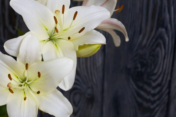 Blooming Lilies Background Pine Boards Painted Black White — Stock Photo, Image