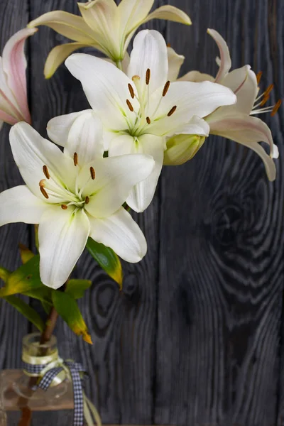 Blühende Lilien Vor Dem Hintergrund Von Schwarz Weiß Bemalten Kiefernbrettern — Stockfoto