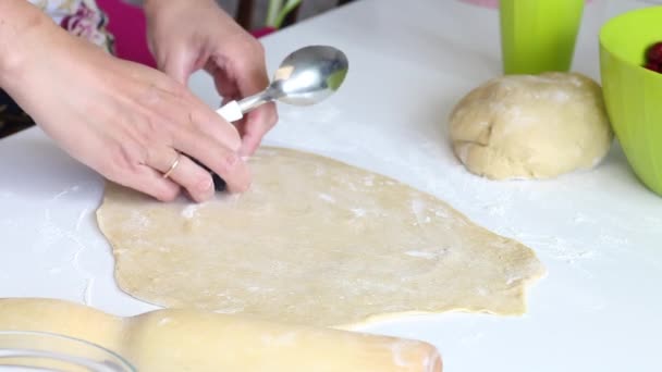 En kvinna förbereder dumplings med blåbär. Sätter bär i valsad deg. Bär i behållare, rullade ut deg på bordet. — Stockvideo