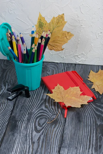 A pencil case in the form of a trash can. It contains colored pencils. Nearby is a notebook for notes. Dried maple leaves are added to the compositions.