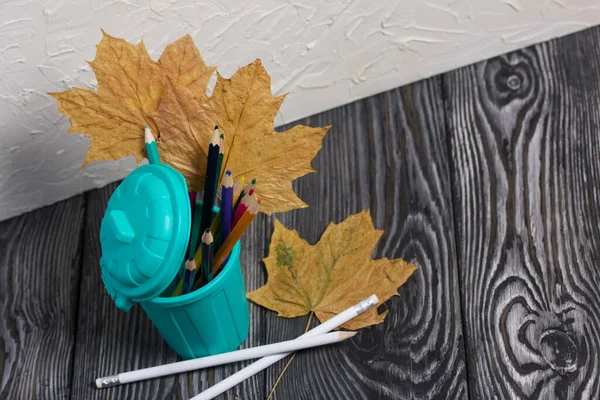 A pencil case in the form of a trash can. It contains colored pencils. Dried maple leaves are added to the compositions. Shot from above.