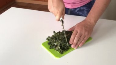 Adamın biri kesme tahtasıyla donmuş doru kuş kesiyor. Kuş çorbası yapmak için. Yakın çekim.