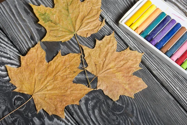 Ζυμαρικά Για Σχέδιο Διάφορα Χρώματα Κοντά Είναι Αποξηραμένα Φύλλα Σφενδάμου — Φωτογραφία Αρχείου