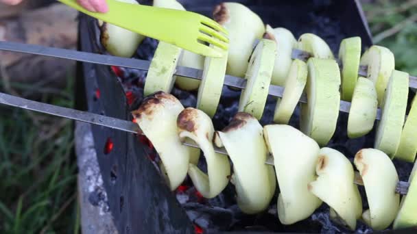 Cuisine barbecue de légumes dans la nature. Brochettes avec légumes sur le gril. Gros plan — Video