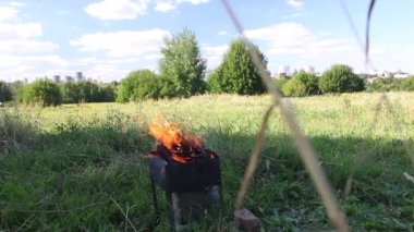 Yanan odunlu metal brazier. Ateş ve duman görünür. Brezilya 'lı yeşil bir çayırda duruyor..